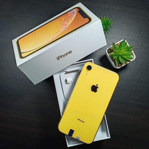 Apple Iphone XR [128 GB] Second Original Fullset Like New