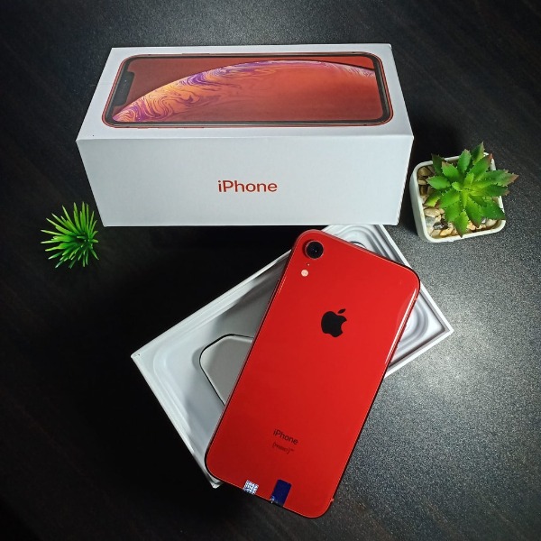 Apple Iphone XR [128 GB] Second Original Fullset Like New